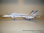 F-18 Hornet (08).JPG

58,49 KB 
1024 x 768 
15.03.2011
